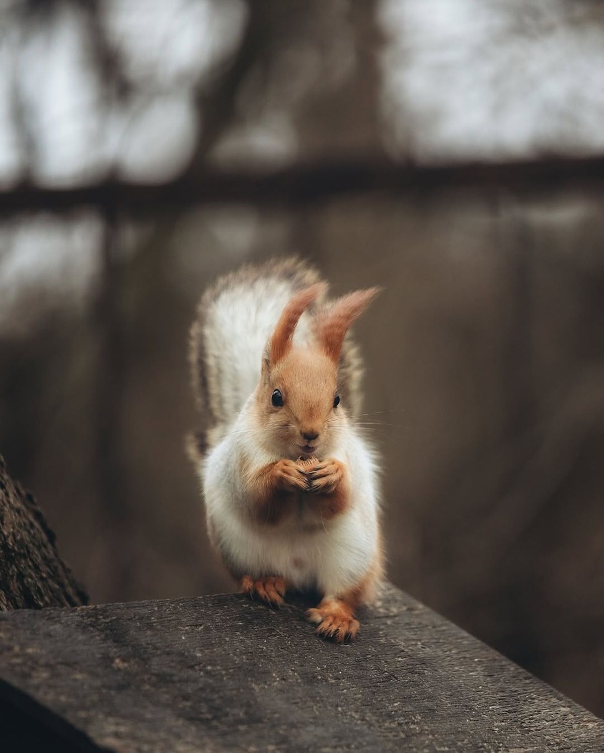 Остання субота у 2024 році: топ красивих світлин Дніпра з Instagram 5