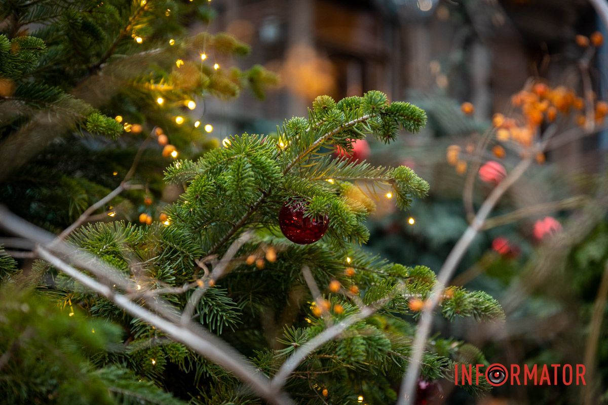 Все фотозоны открыты для посетителей и стали популярными местами для снимков