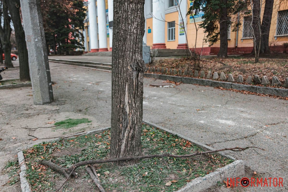 Зачепив дерево