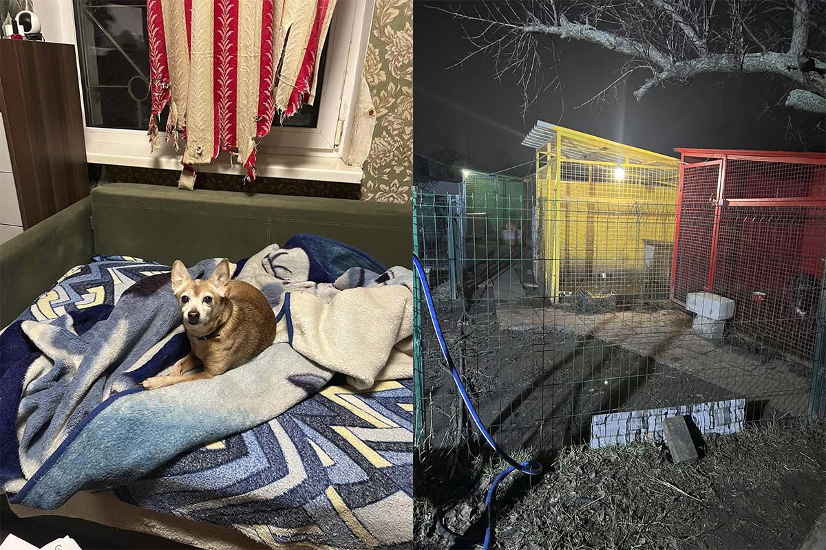 Притулок "Промінчик надії" Притулок "Промінчик надії"