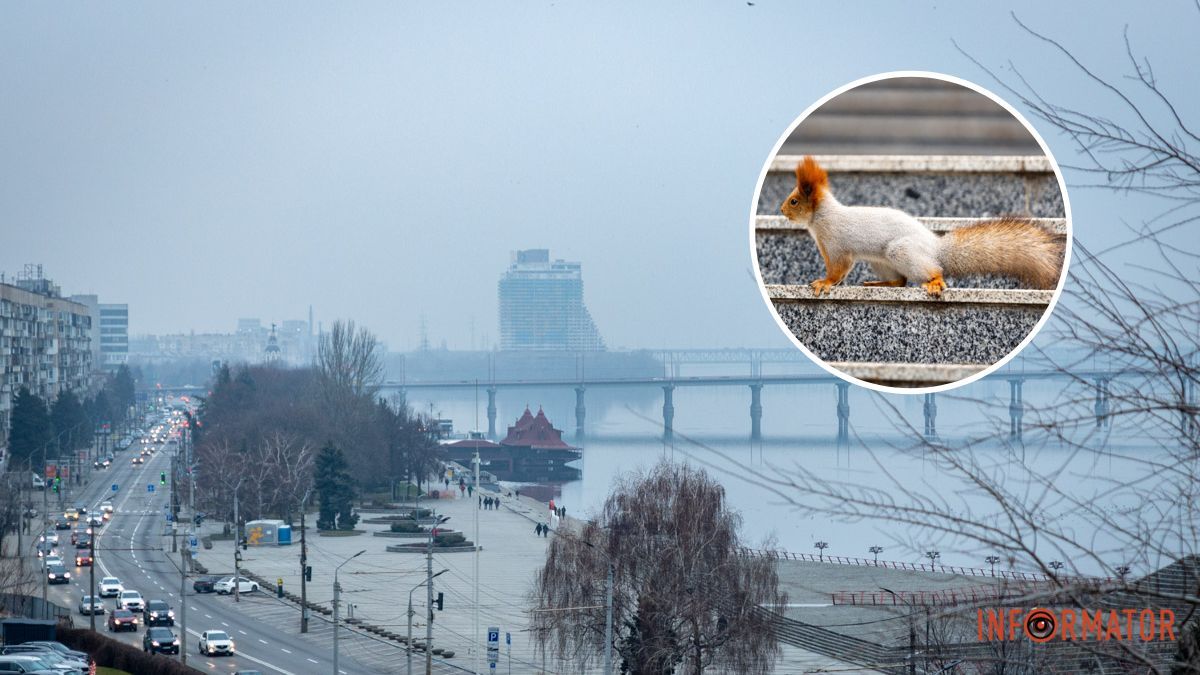 До +10 на термометре: какой будет погода в Днепре 10 января