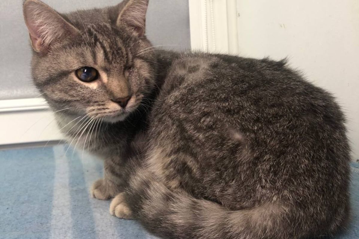 Маленький Кеша доставит вам много радости Маленький Кеша доставит вам много радости