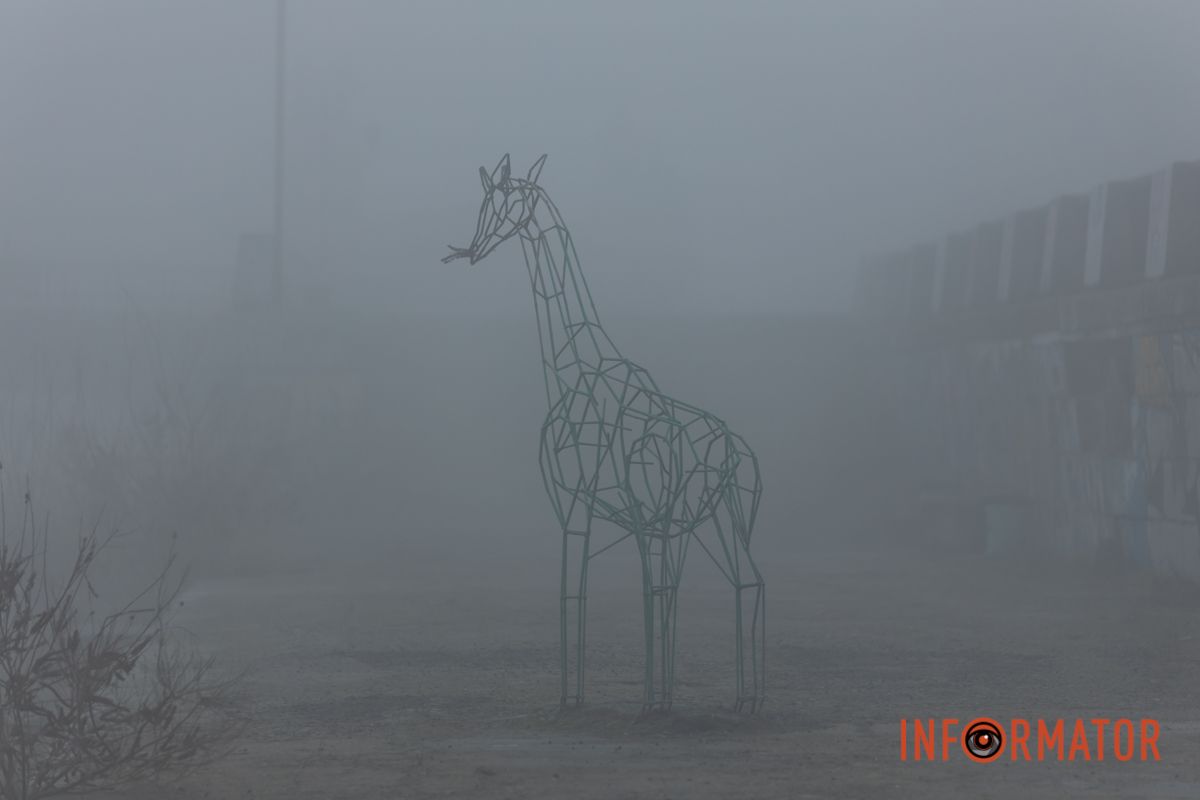 Фото: Денис Чубченко