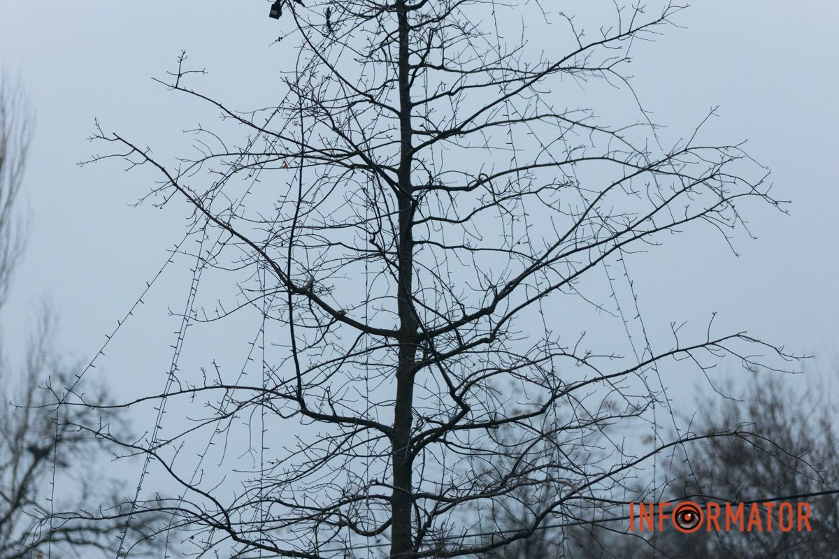І це сталося у день святкування Старого Нового року