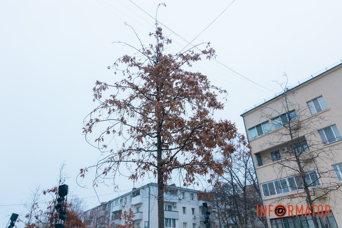 На Яворницького працюють автівки КП «Міськсвітло»
