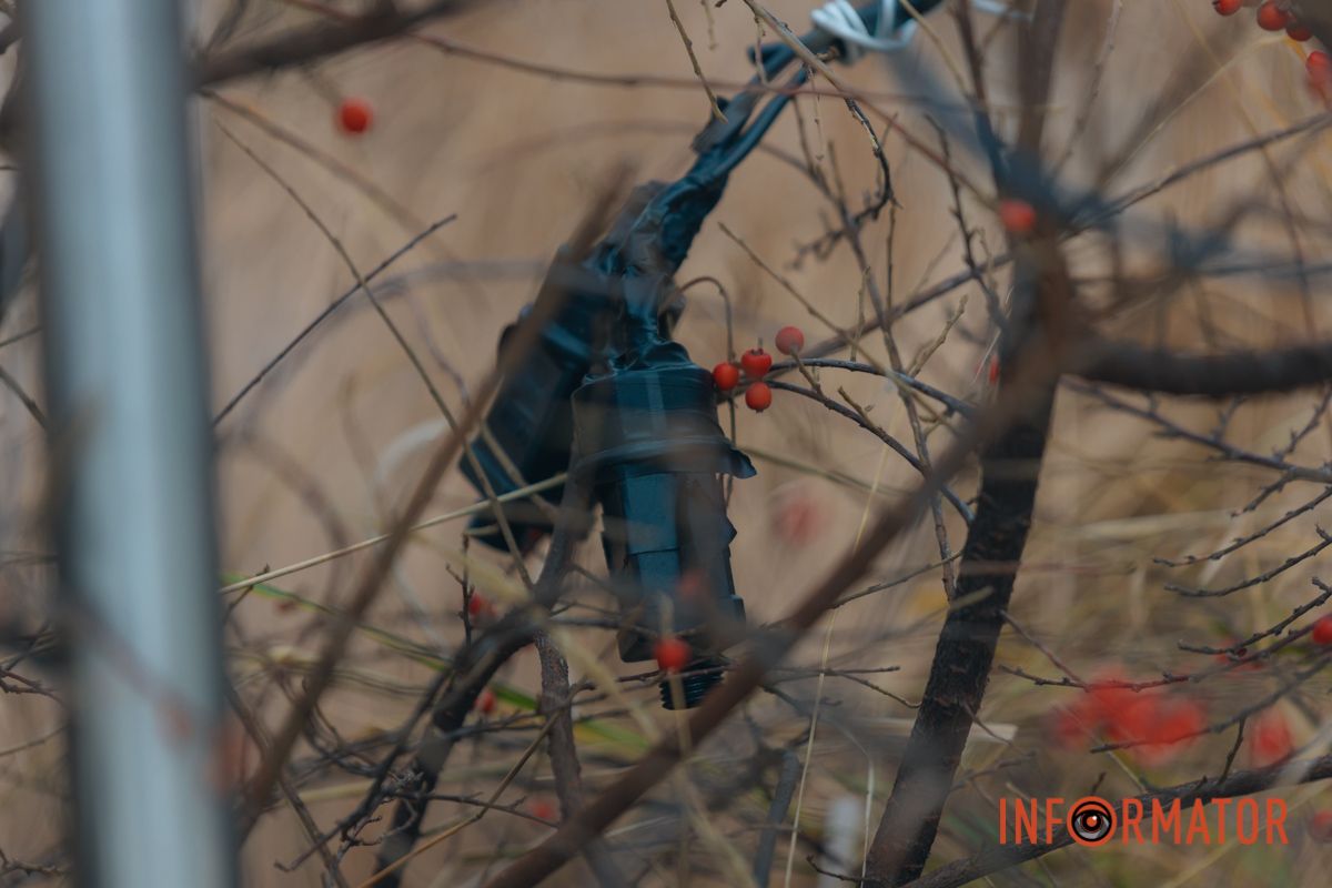 Фото - Денис Чубченко