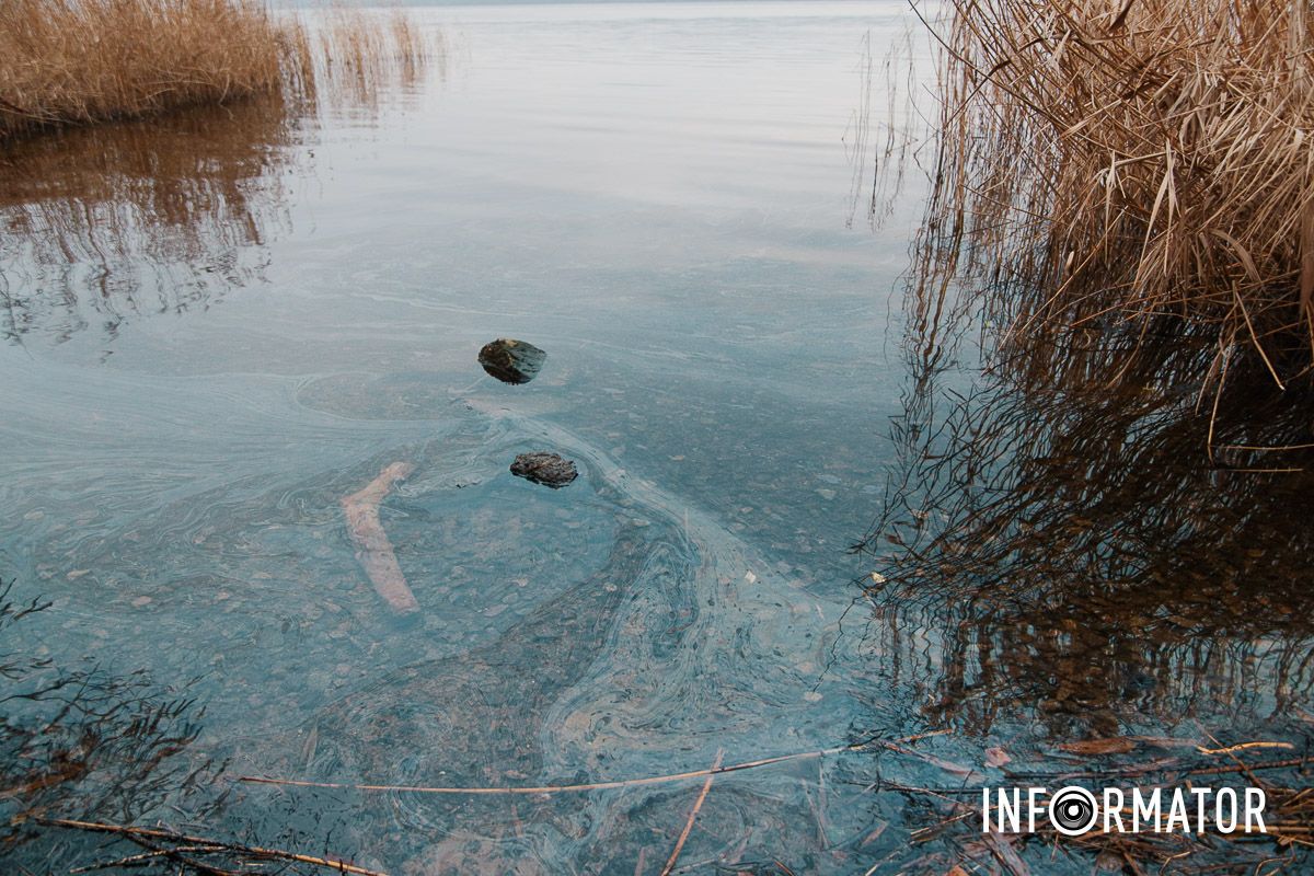 Звідки взялася мазута на березі - офіційно не повідомляли У Дніпрі на Придніпровському пляжі берег вкрило мазутом: яка ситуація зараз 8
