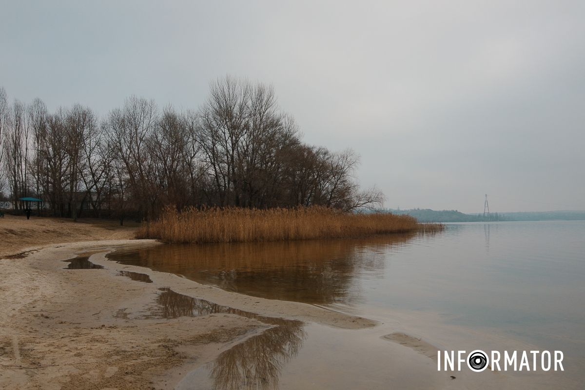Придніпровский пляж У Дніпрі на Придніпровському пляжі берег вкрило мазутом: яка ситуація зараз 17