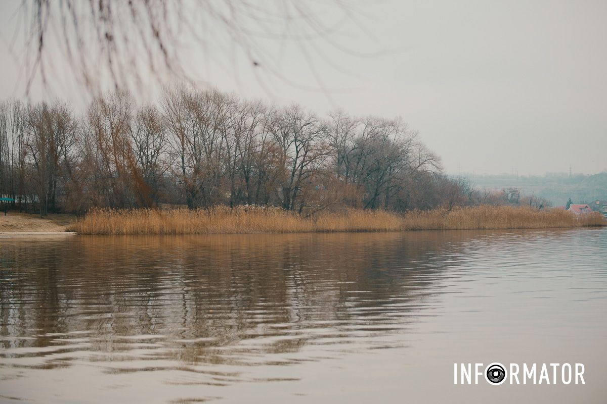 Сліди мазути знайшли там У Дніпрі на Придніпровському пляжі берег вкрило мазутом: яка ситуація зараз 16