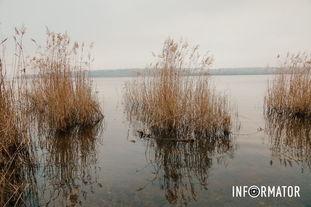 Так виглядає берег станом на 13 січня У Дніпрі на Придніпровському пляжі берег вкрило мазутом: яка ситуація зараз 23