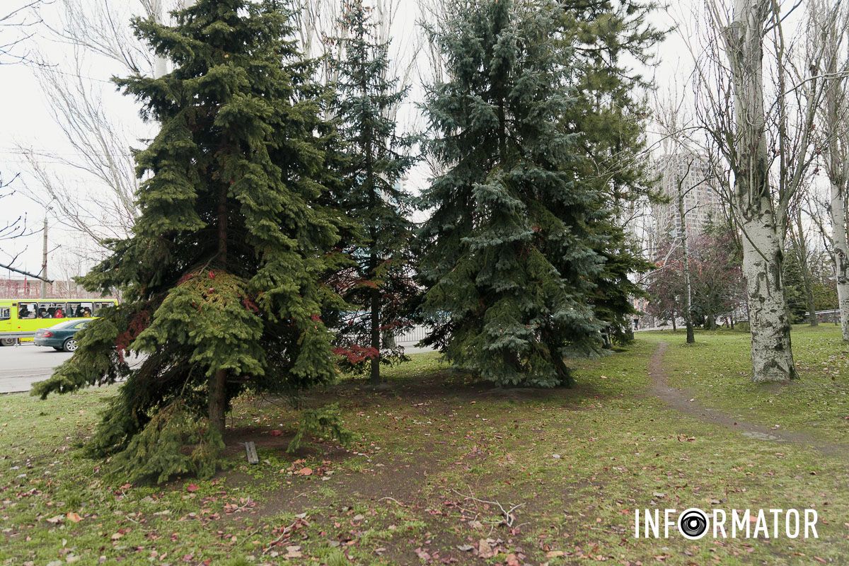 В Днепре появится сквер имени Михаила Кореновского: как выглядит место сейчас 19