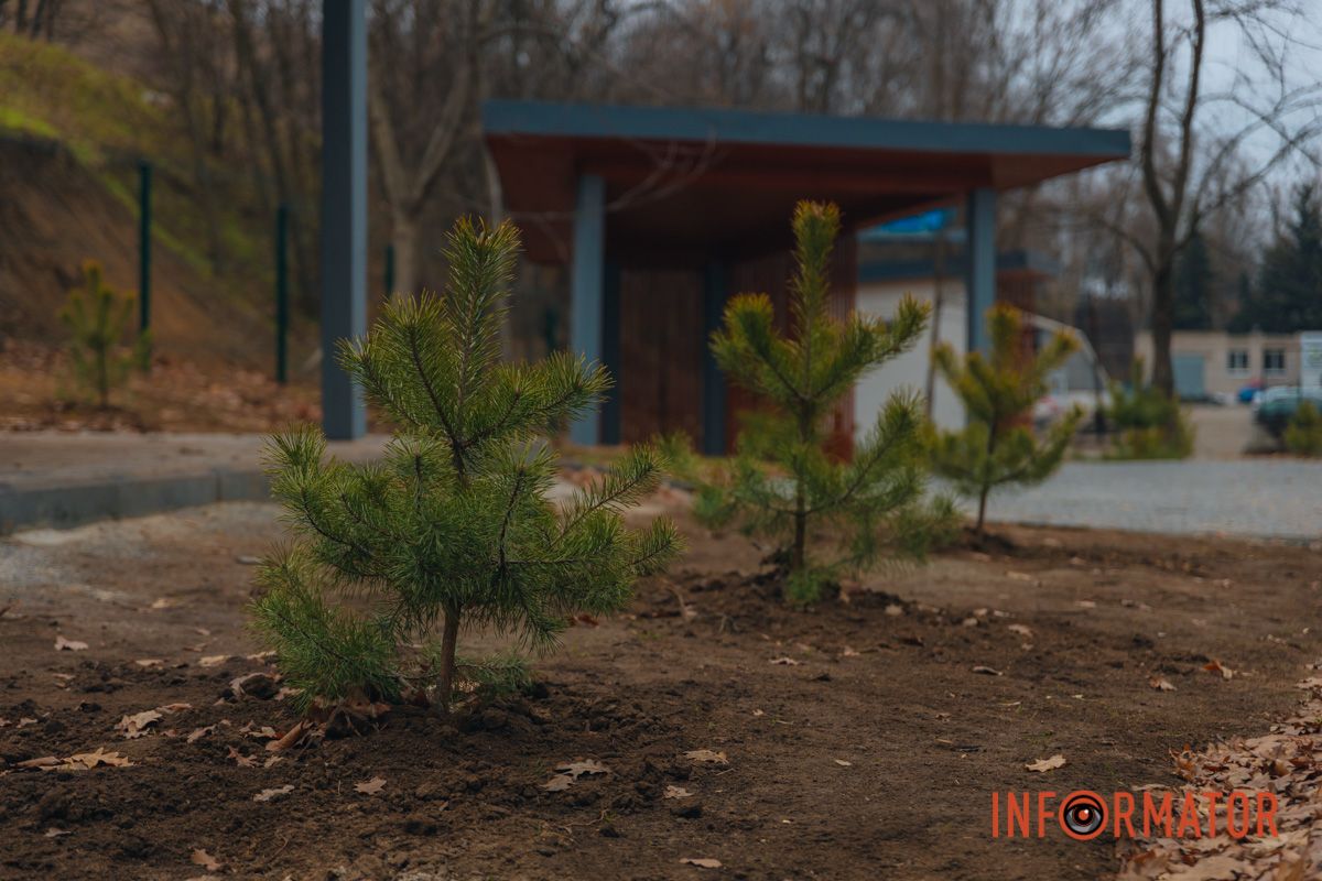 У Дніпрі в урочищі Тунельна балка завершили будівництво рекреаційного майданчика 16