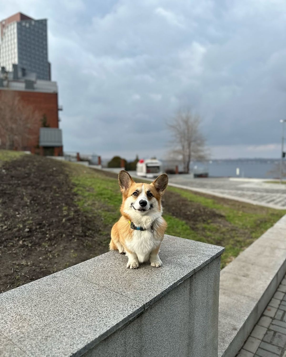 Фото: @kind_yoshi Если бы у Днепра был Instagram: топ красивых фотографий города 7