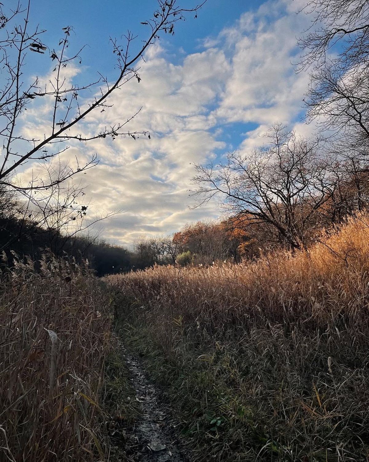 Фото: @olga_barsova Если бы у Днепра был Instagram: топ красивых фотографий города 4