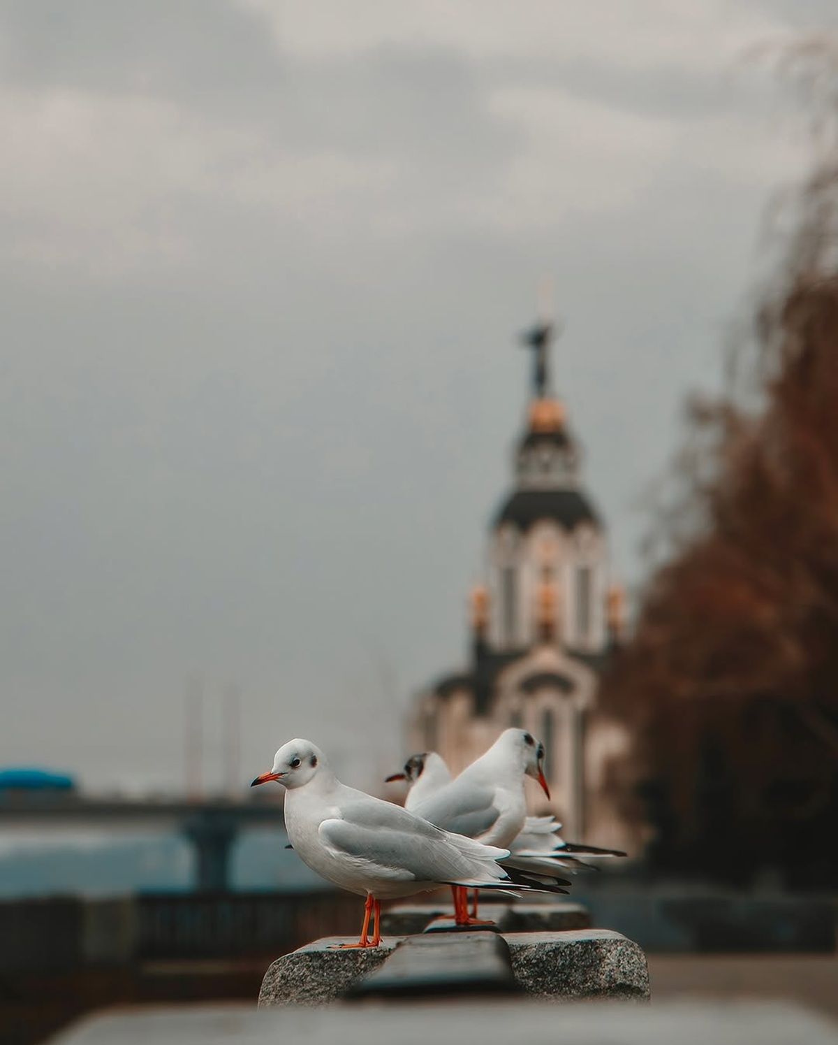 Фото: @ph_deniska Если бы у Днепра был Instagram: топ красивых фотографий города 3