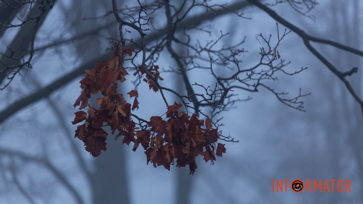 У Дніпрі 21 січня хмарна погода триматиметься цілий день