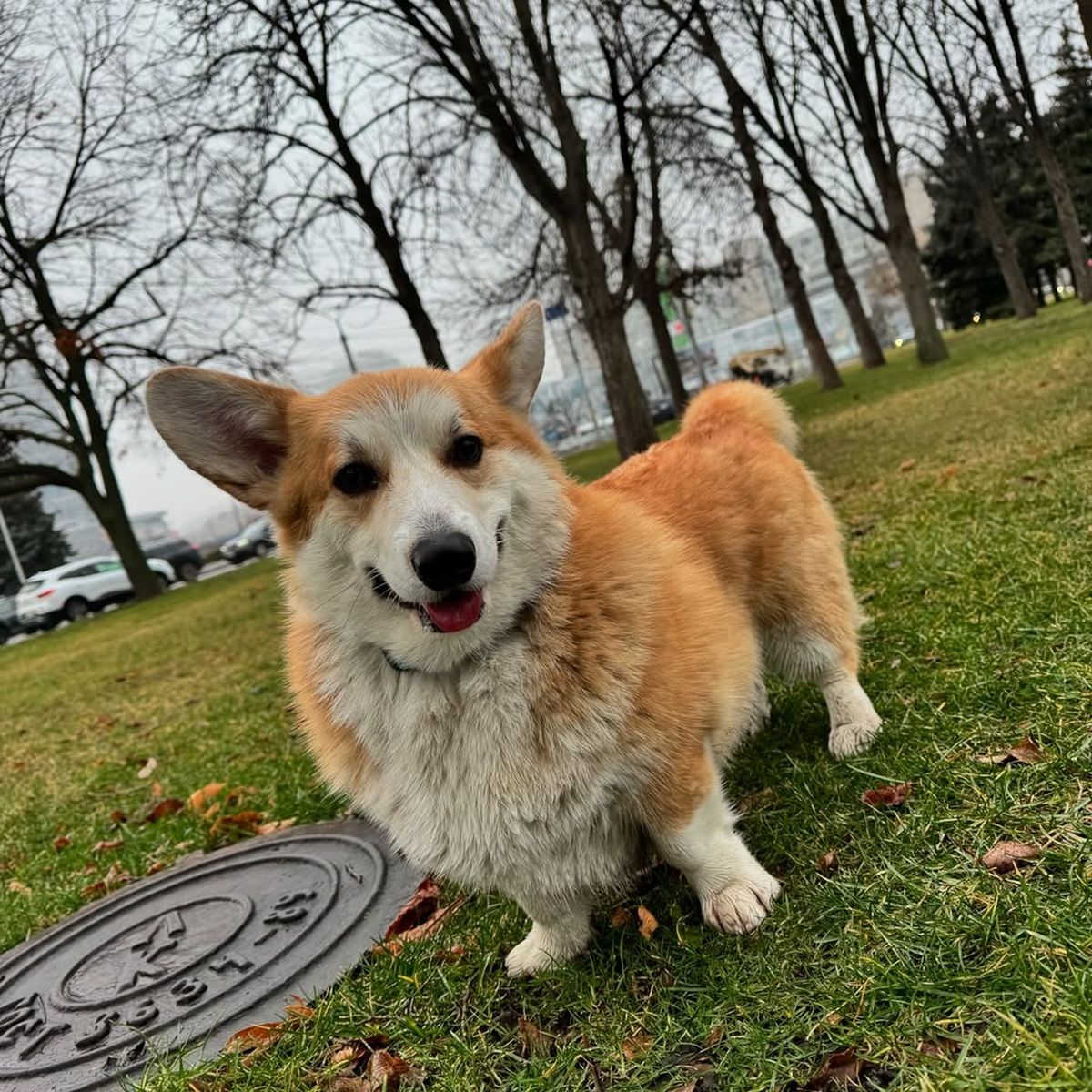 Фото: @banda.paw Остання підбірка фото у січні або якби в Дніпра був Instagram 2
