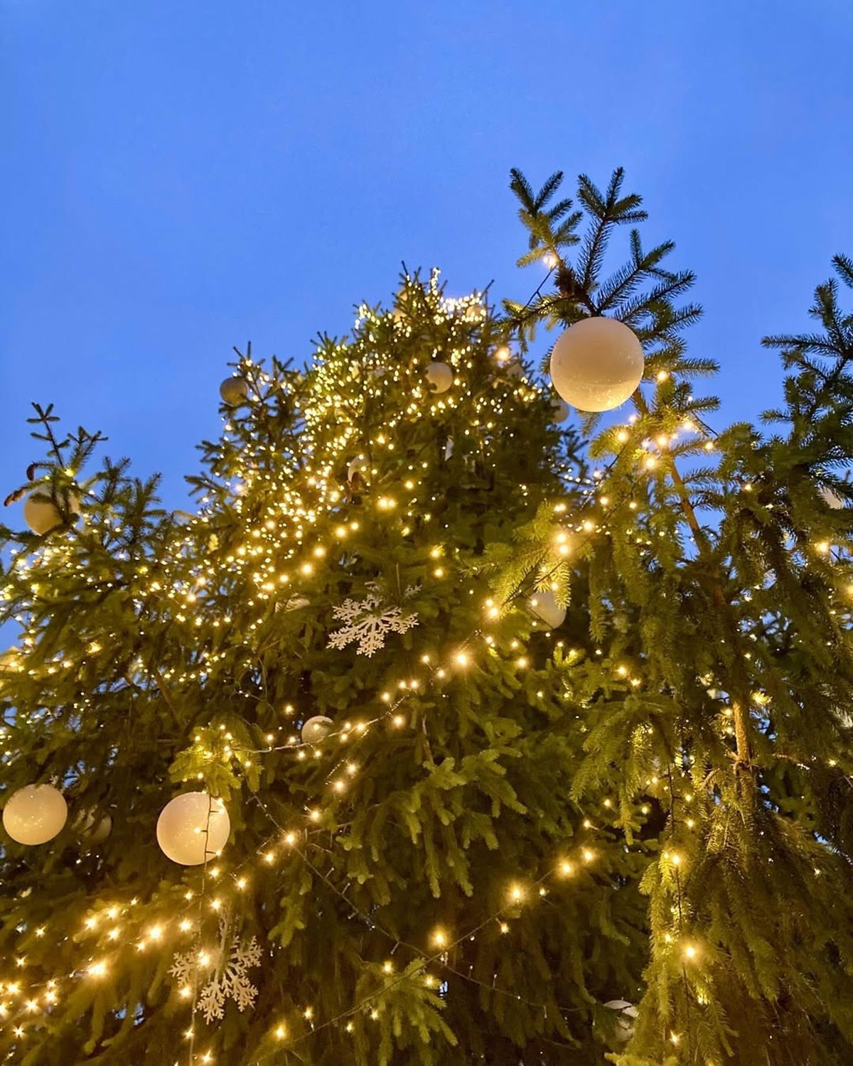 Фото: @me_zakrevskaya Остання підбірка фото у січні або якби в Дніпра був Instagram 3