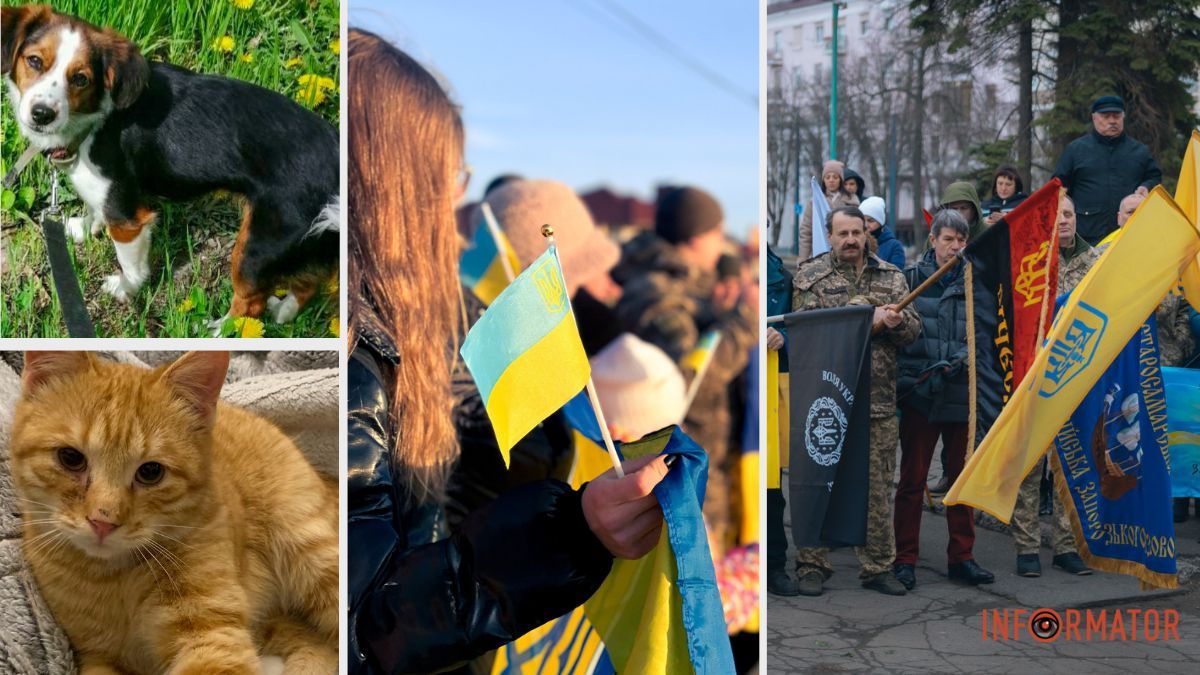 Підбірка добрих та позитивних новин тижня у Дніпрі