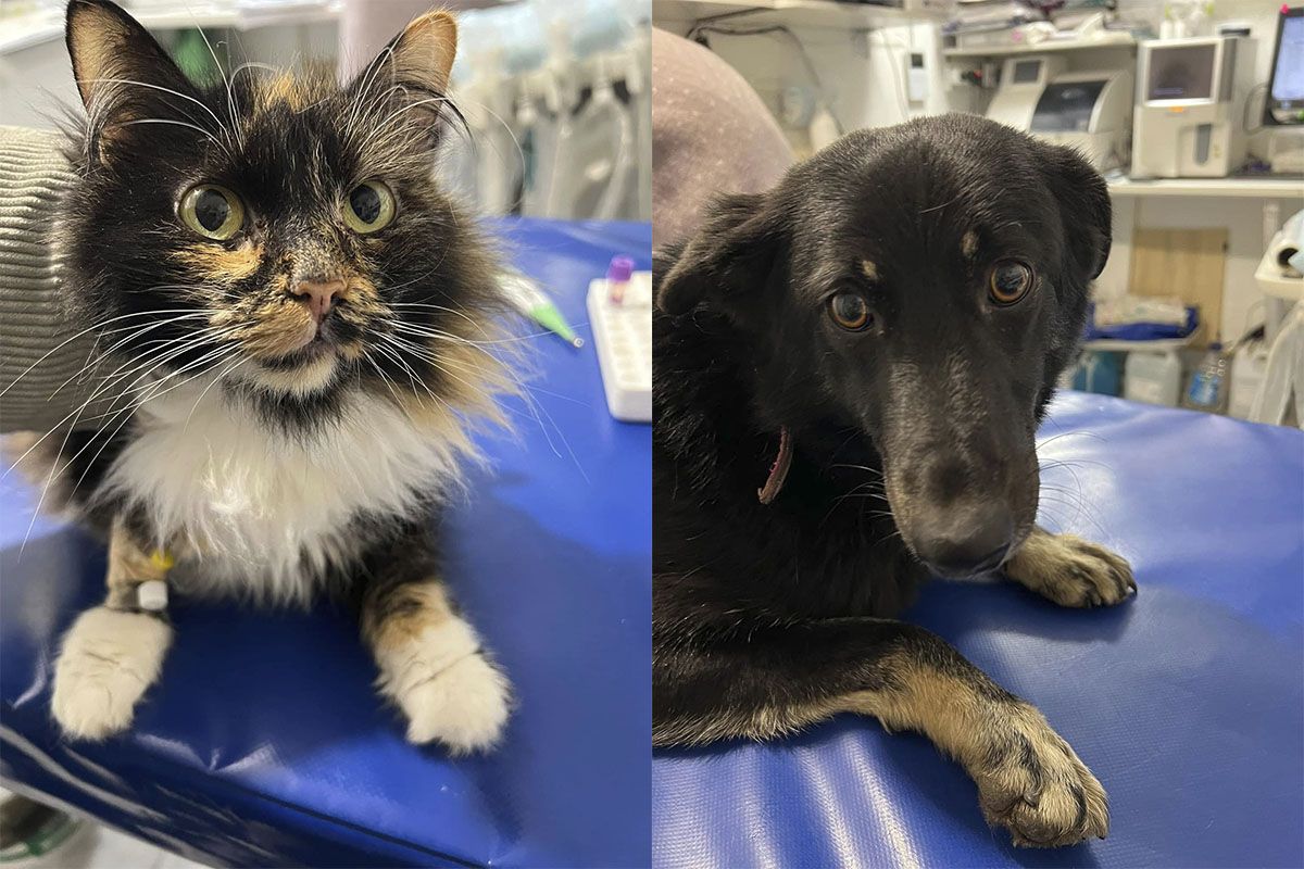 С надеждой на счастливое будущее