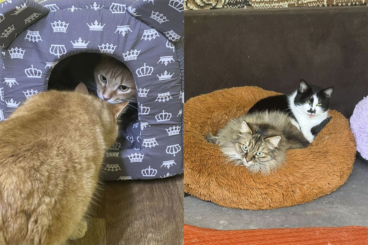 Возможно, ожидаю именно вас