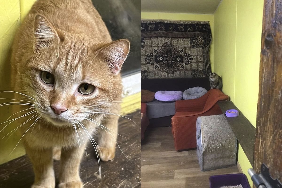 Вы можете сделать им подарок