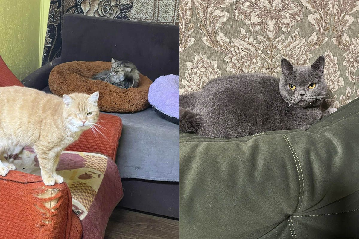 Миниубежище в Днепре