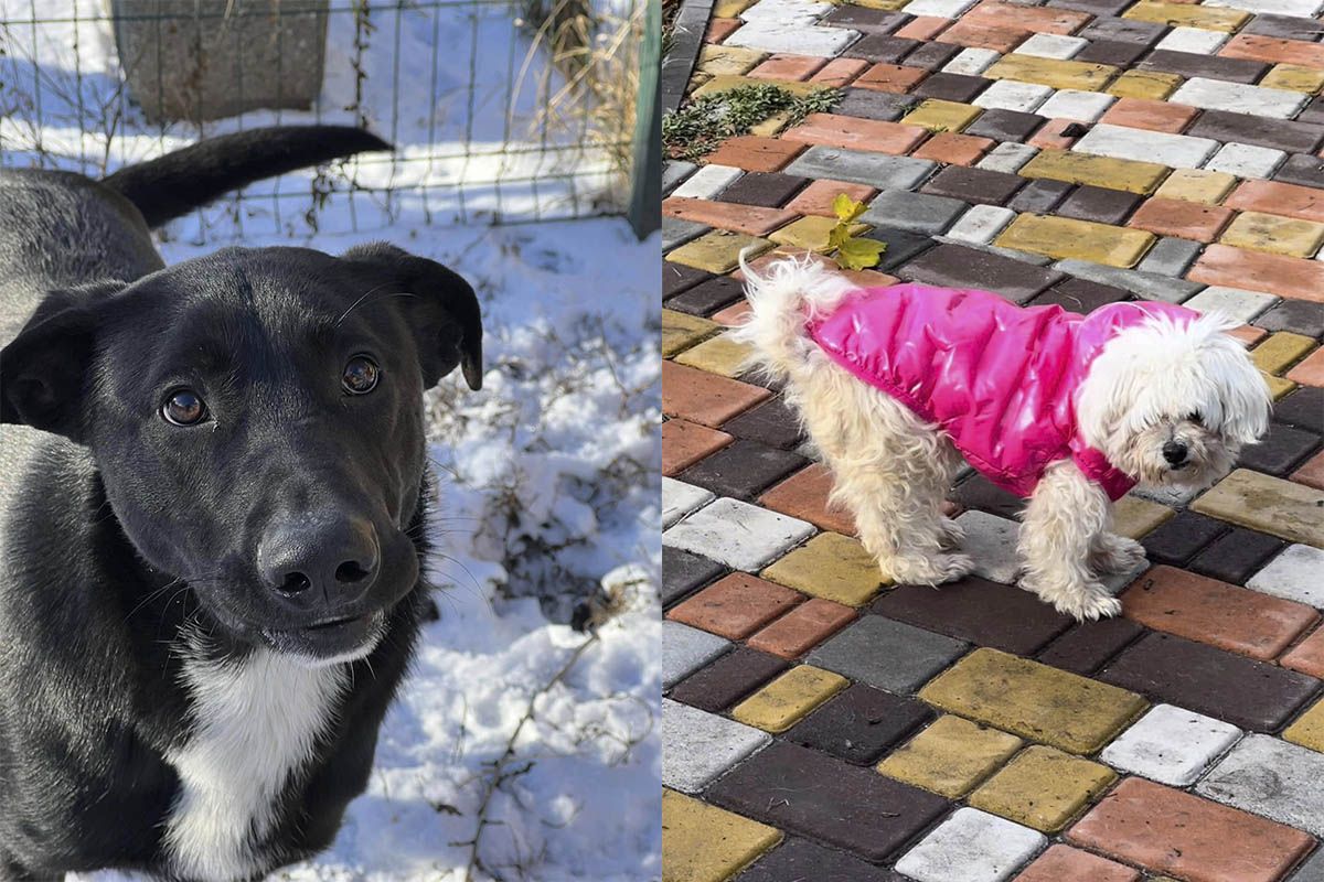 Только посмотрите в эти глазки