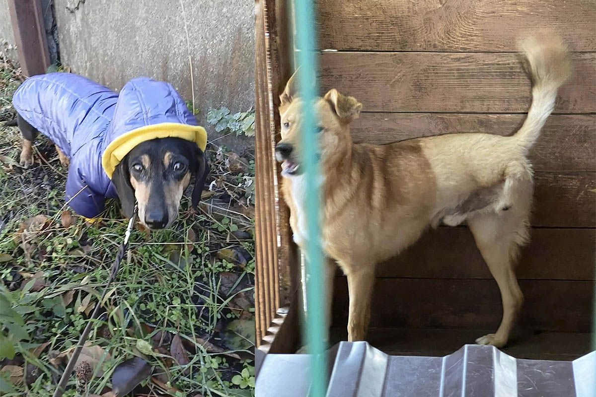 Присмотритесь к фото