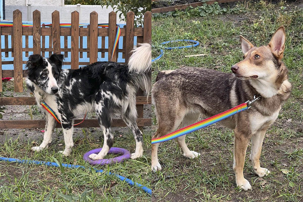 Они ждут именно вас!