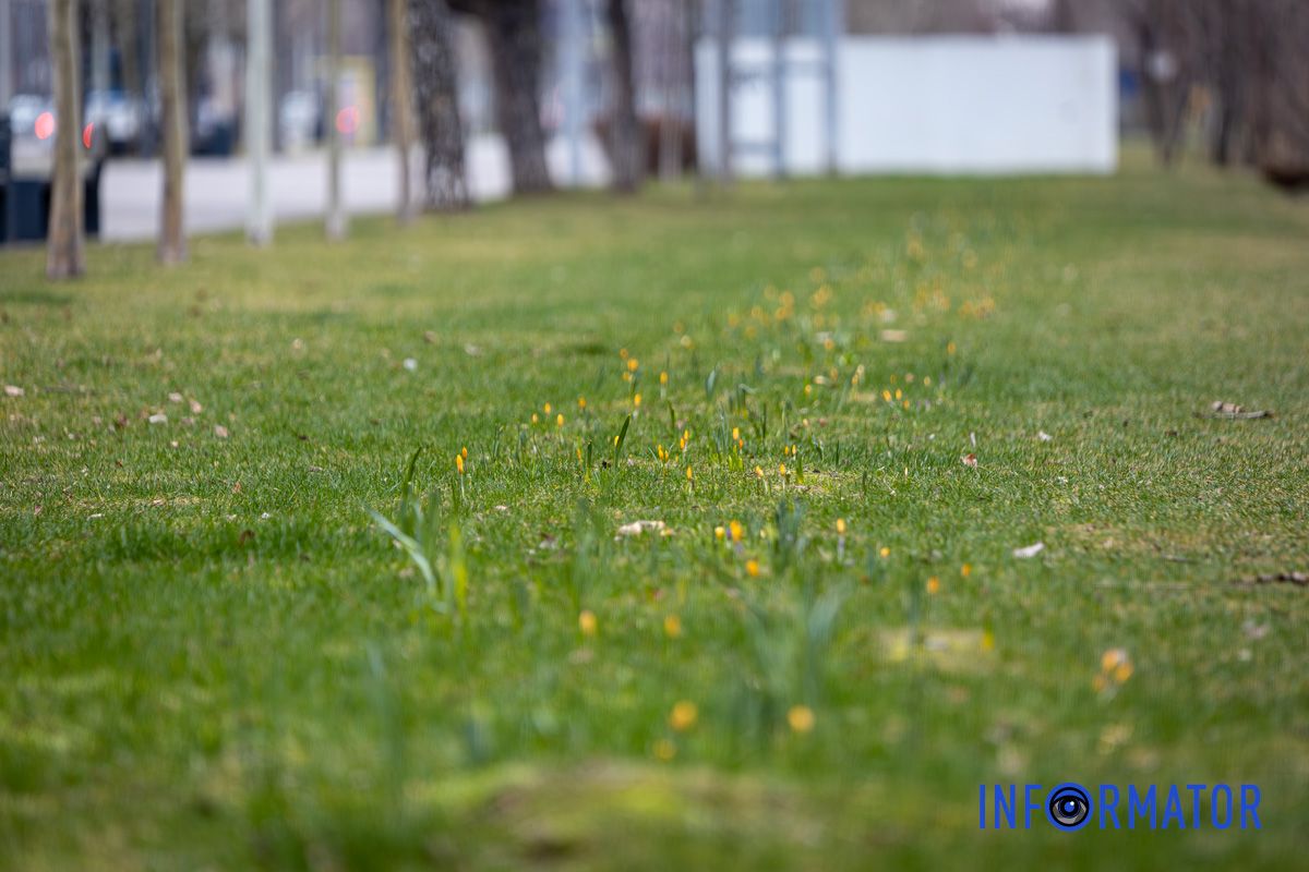 Стежка із квітів