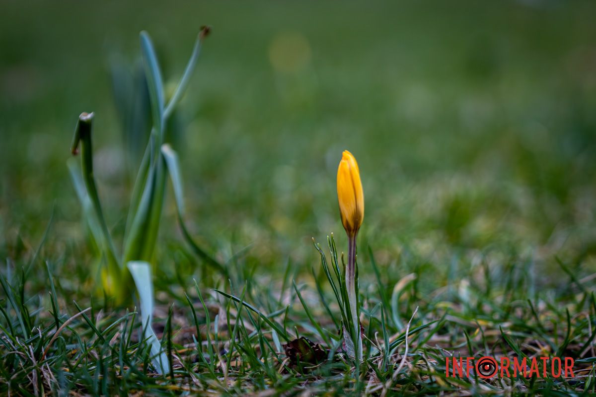 Через це весна прийшла завчасно