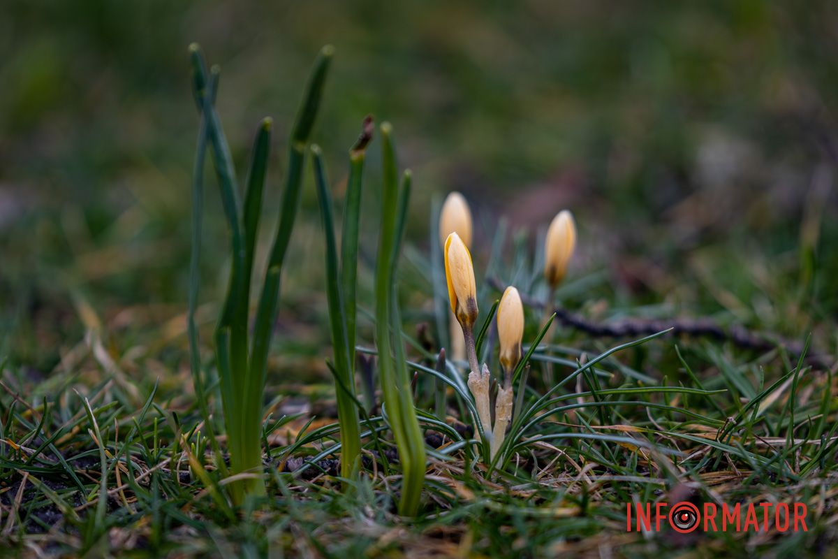 Синоптики прогнозують у місті до -9°C