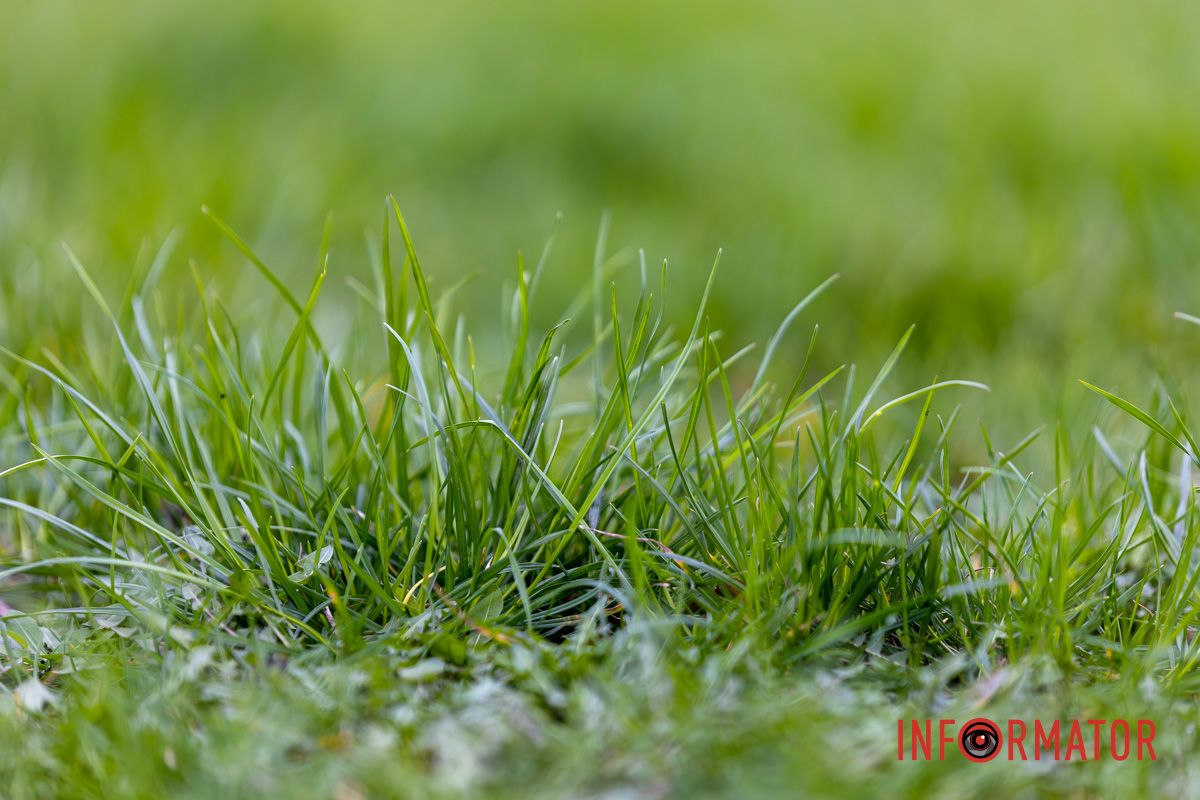 Очікують і сніг