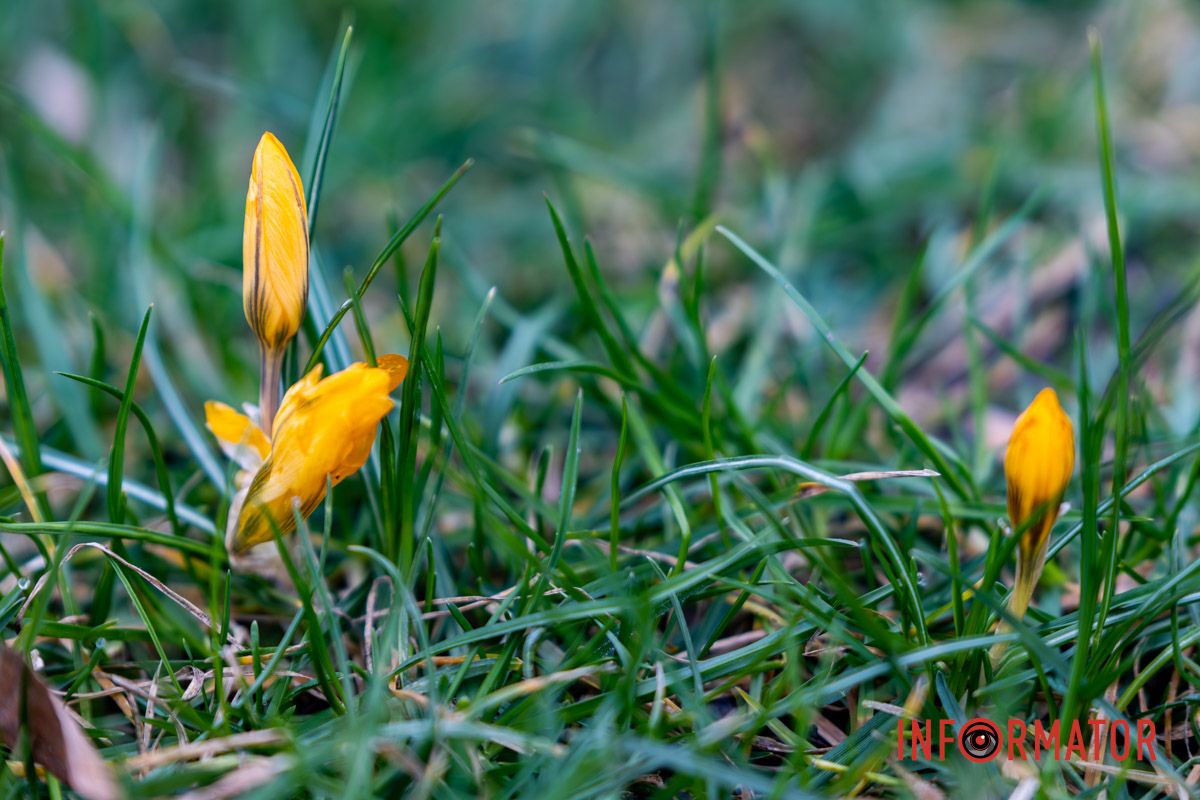 Фото - Дмитро Дворський