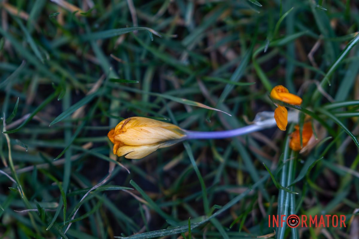 Наші оператори стараються для вас