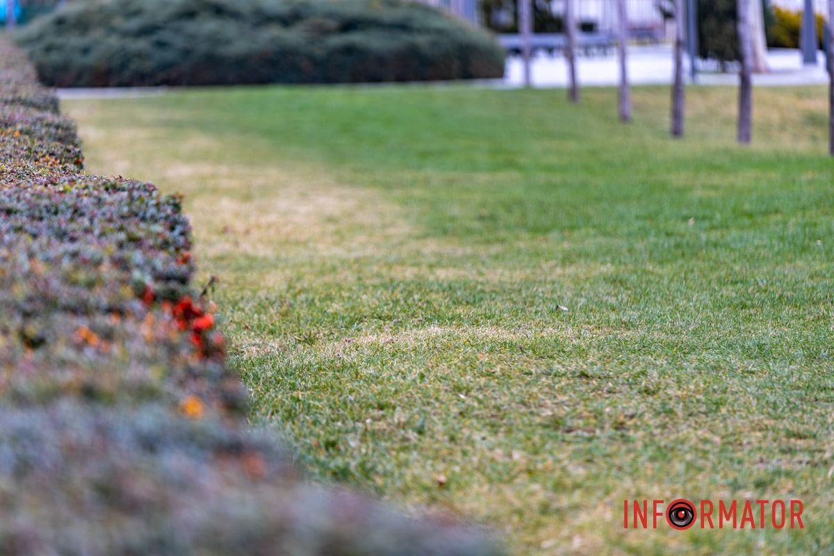 Весна замість зими