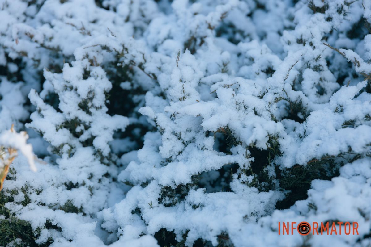 Последний месяц зимы