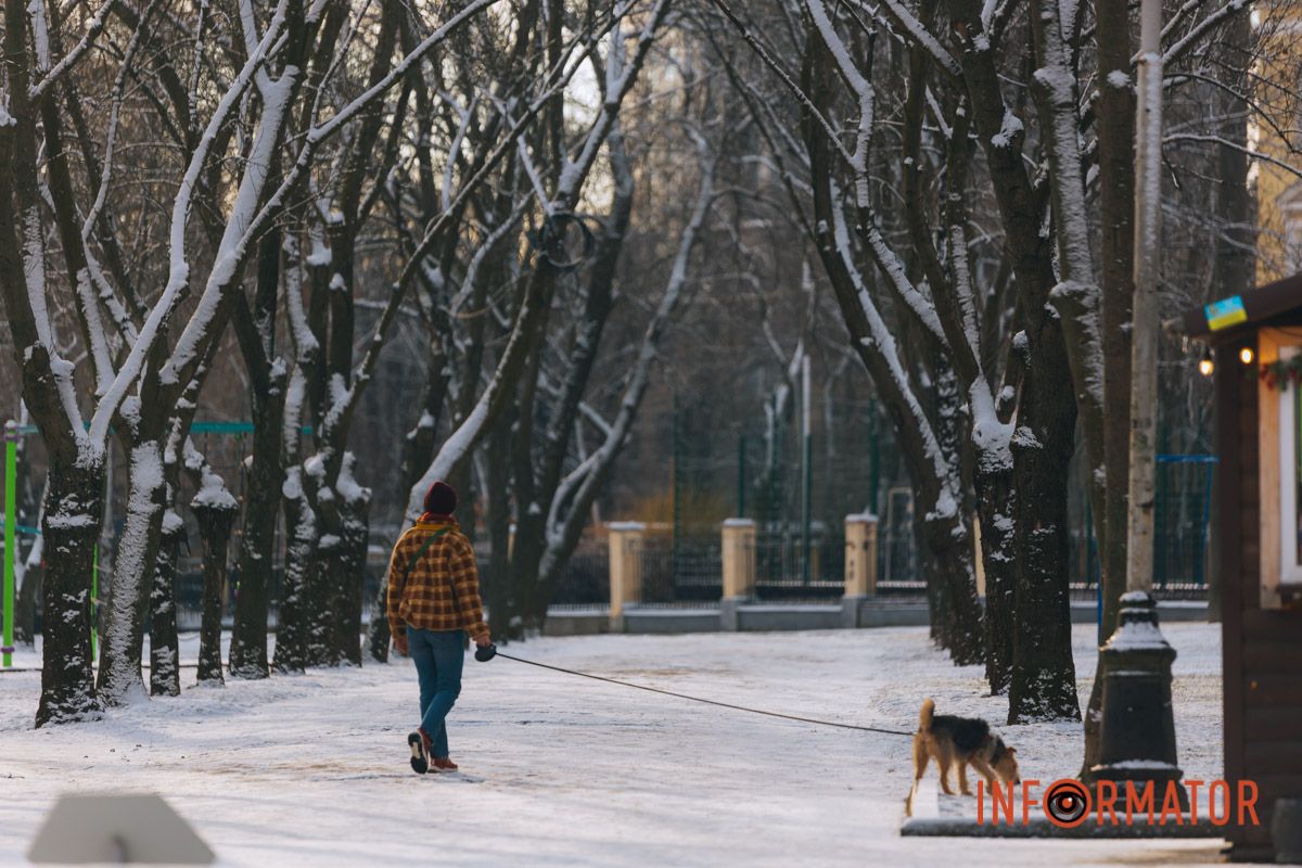 Днепряне на зимней прогулке с домашними питомцами