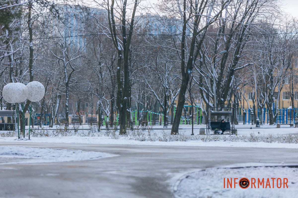 Деревья покрыты как белой скатертью