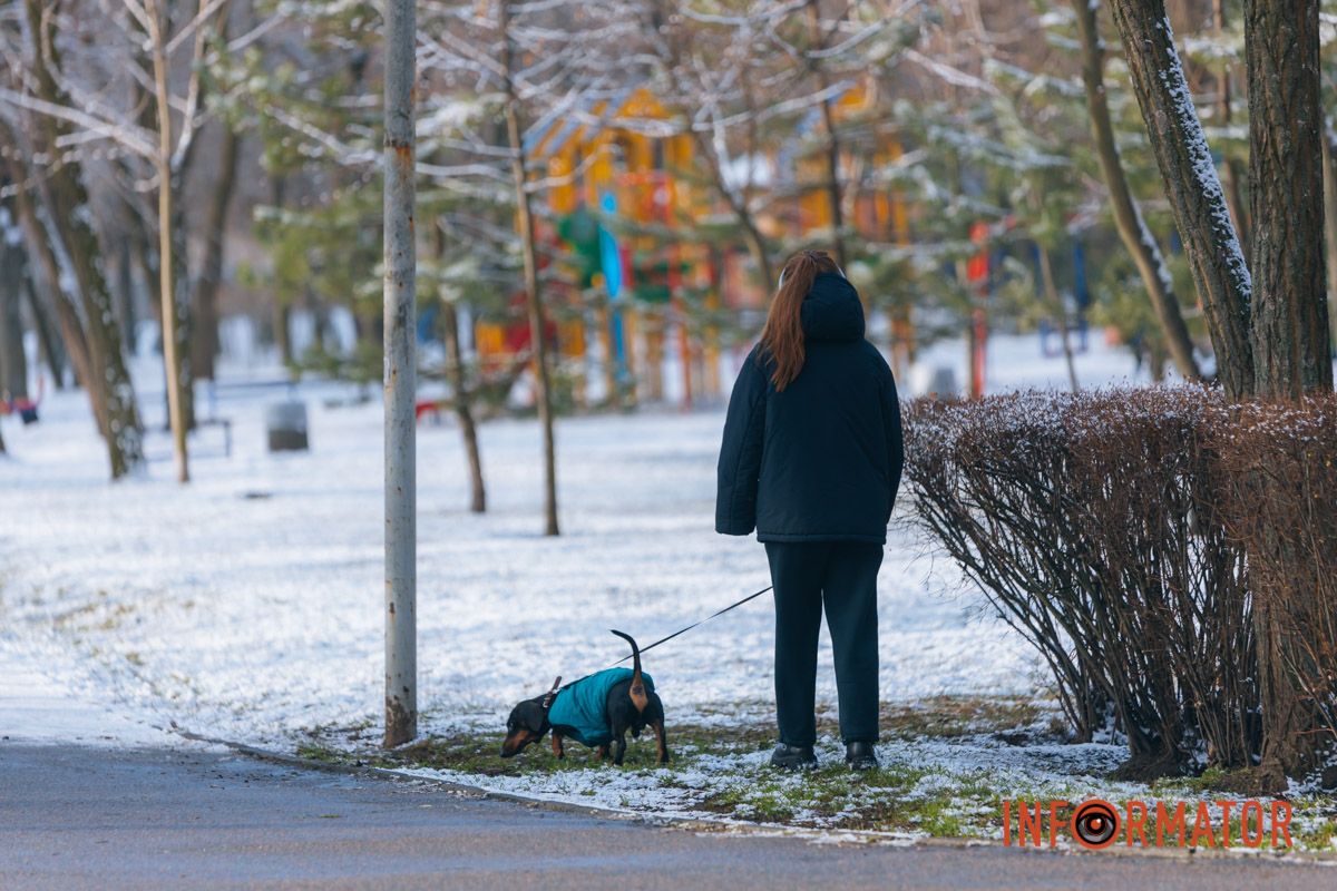 Девочка с собачкой