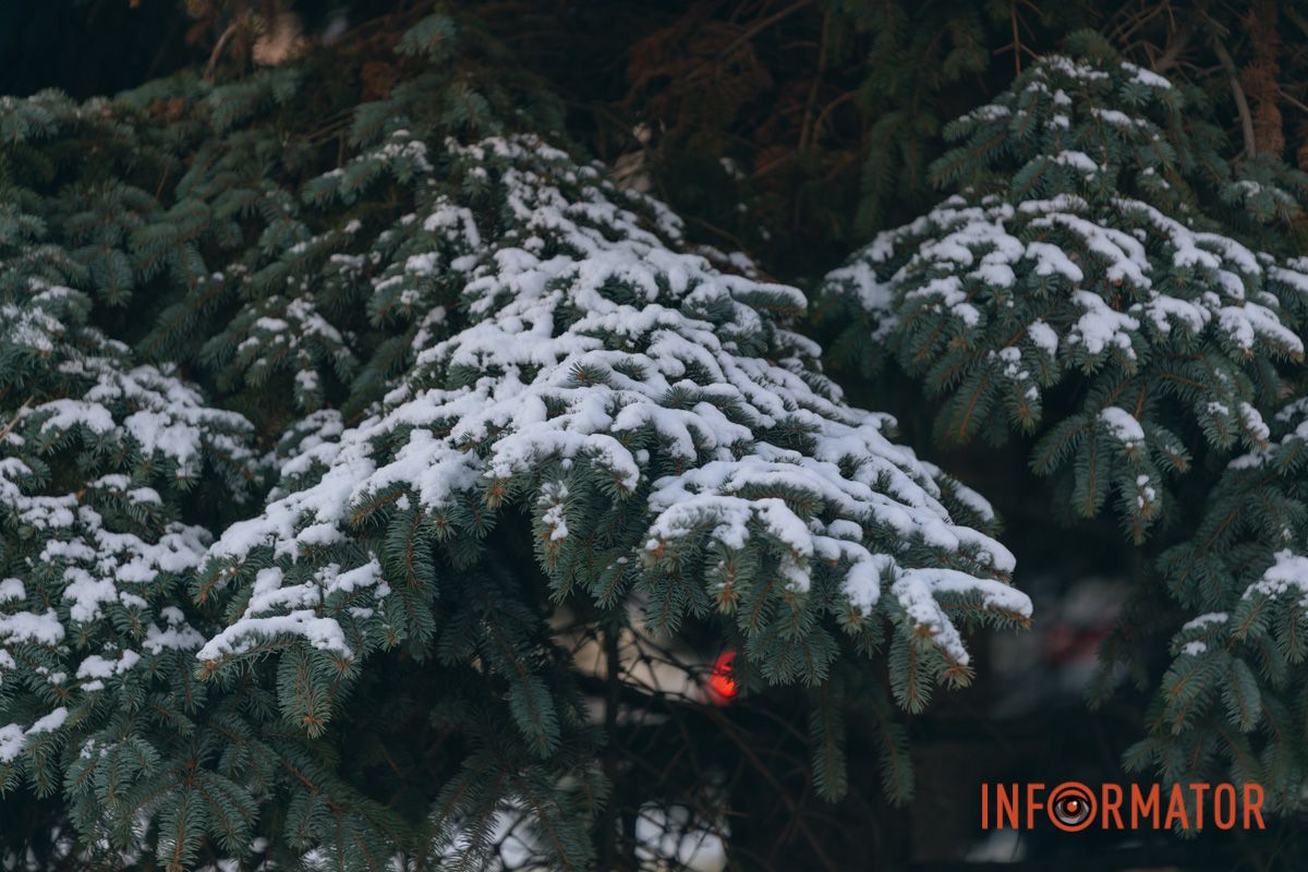 Елка в белой шубе