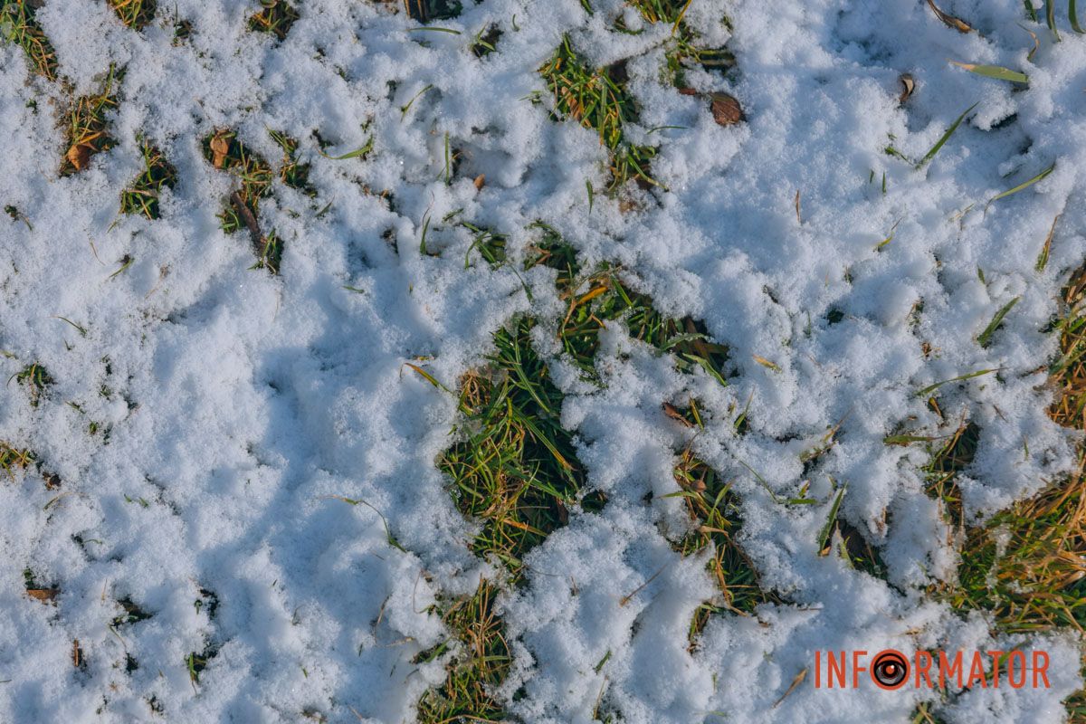 Весна пытается прийти раньше