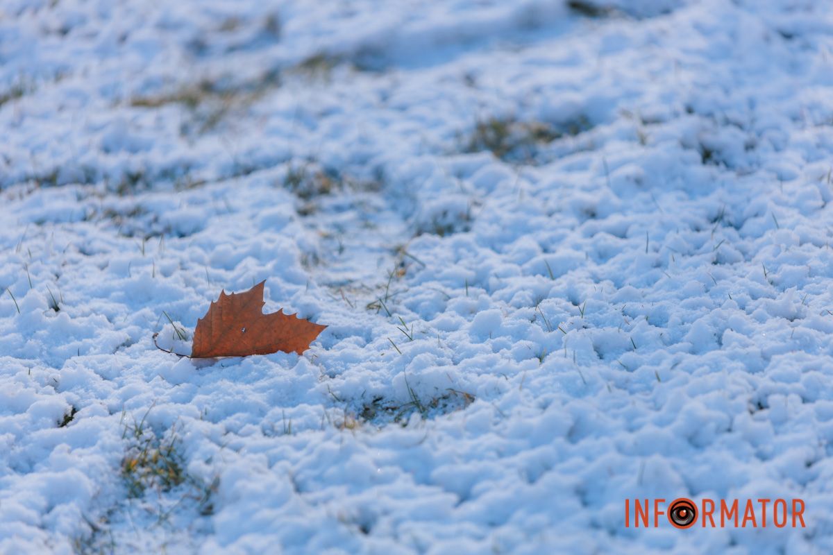 Снег выпал в феврале