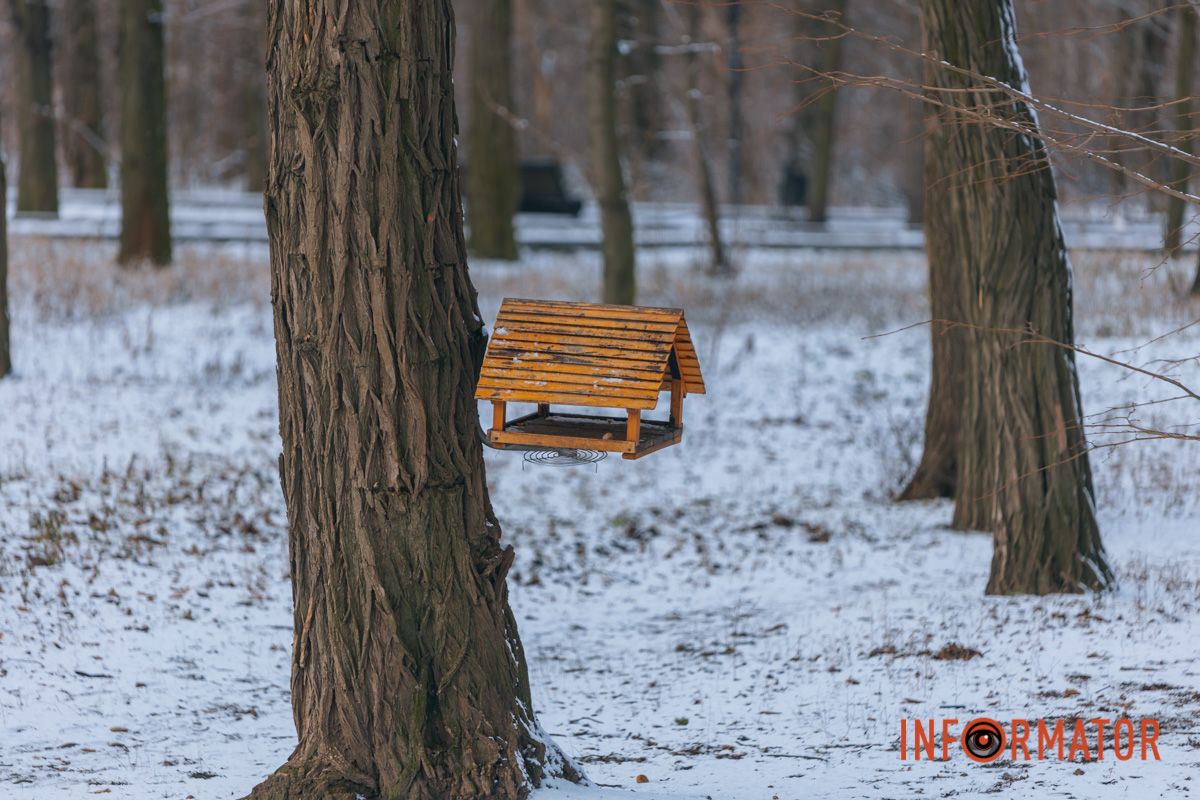 Зимние кормушки для птиц