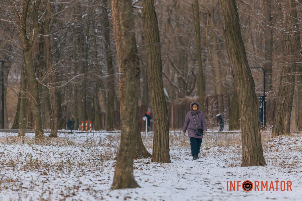 Снежный местный парк