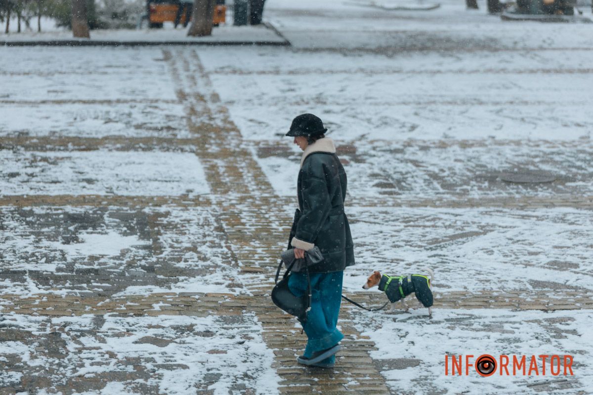 Дівчина з чотирилапим другом