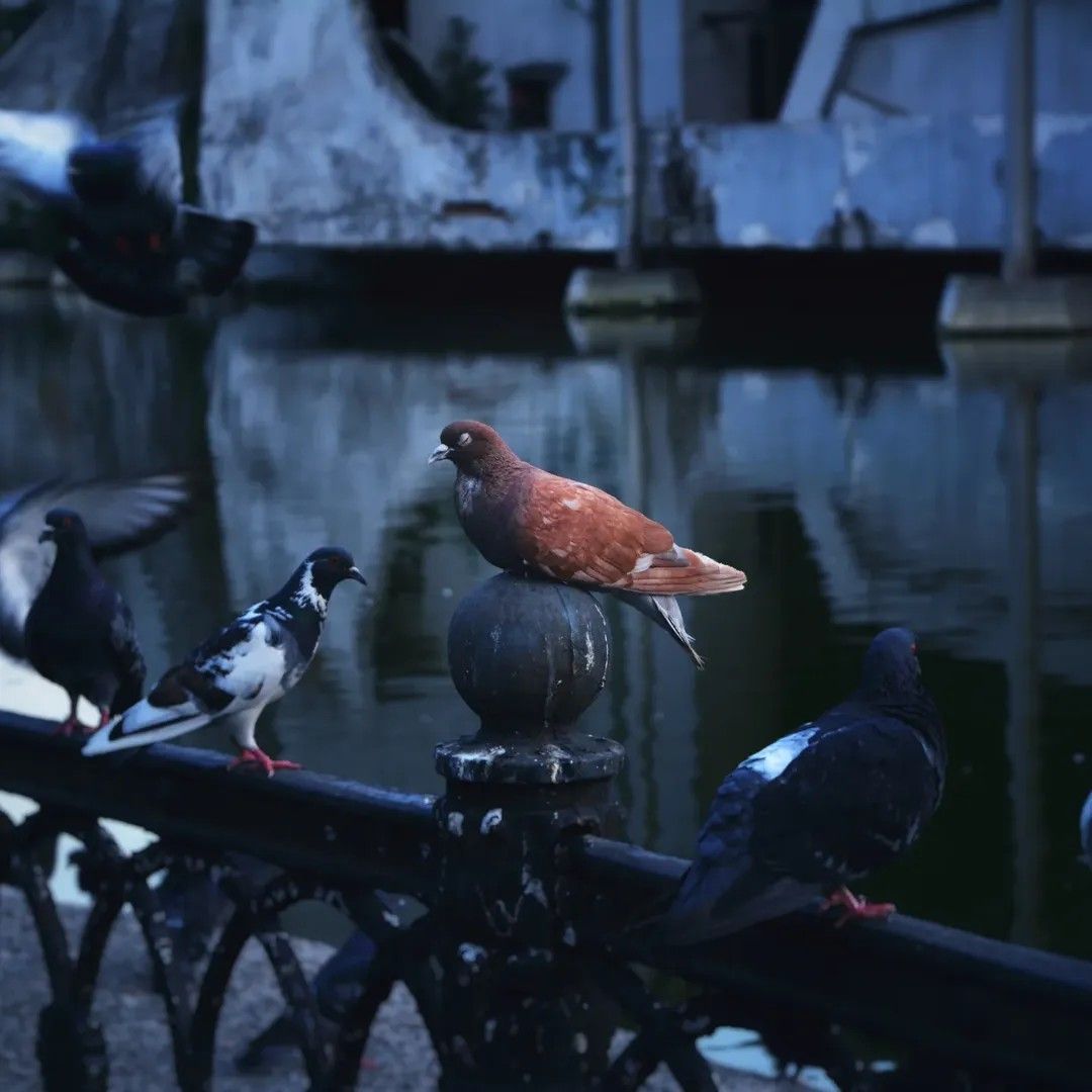 @blvckpolaroid @blvckpolaroid