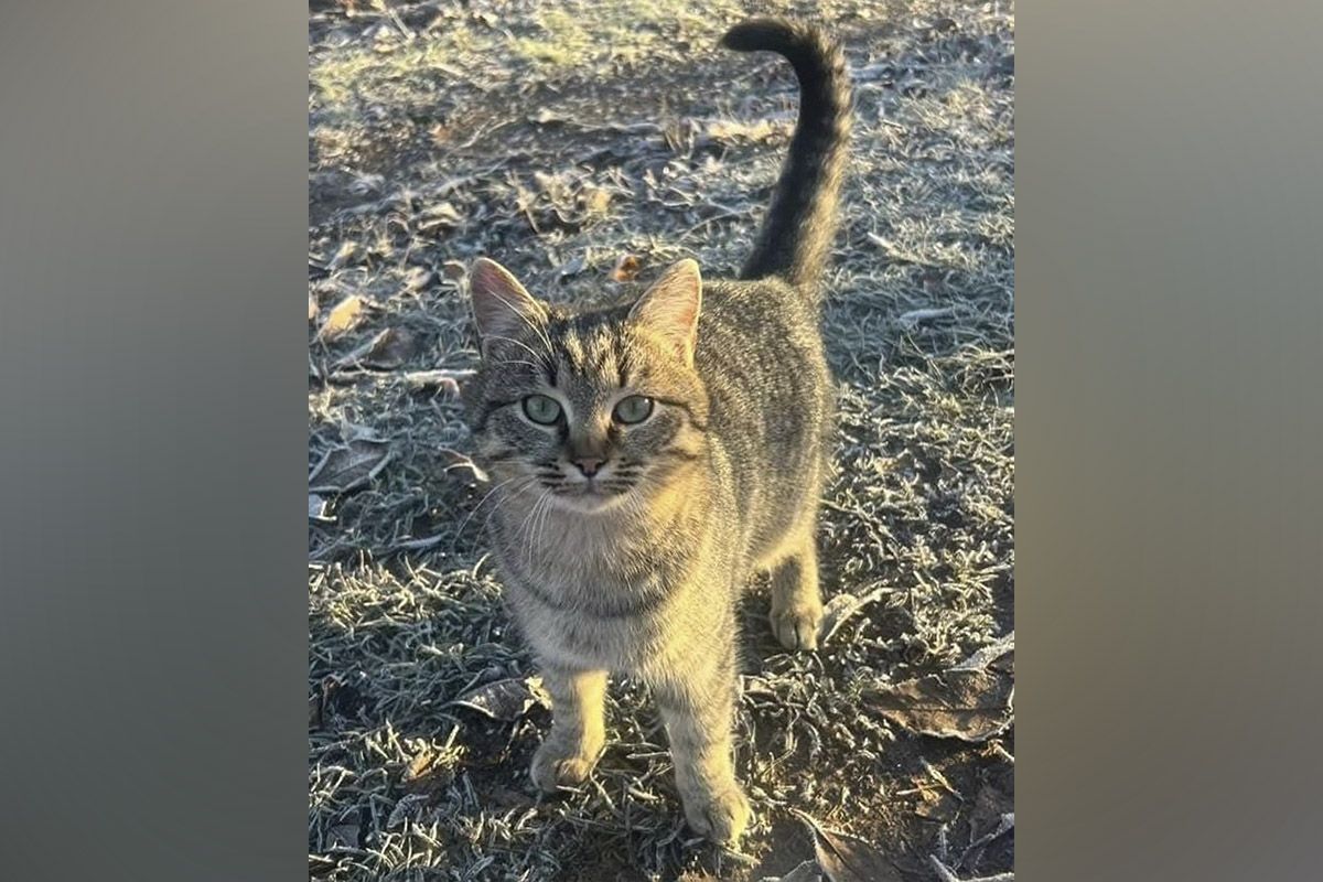 Фотогенический красавец Фотогенический красавец