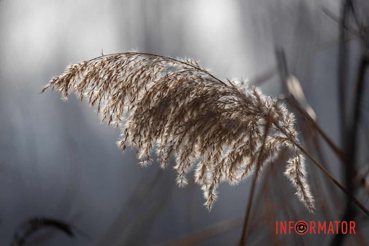 Рискуют собственной жизнью: в Днепре на Ломовском рыбаки вышли на первый лед 28
